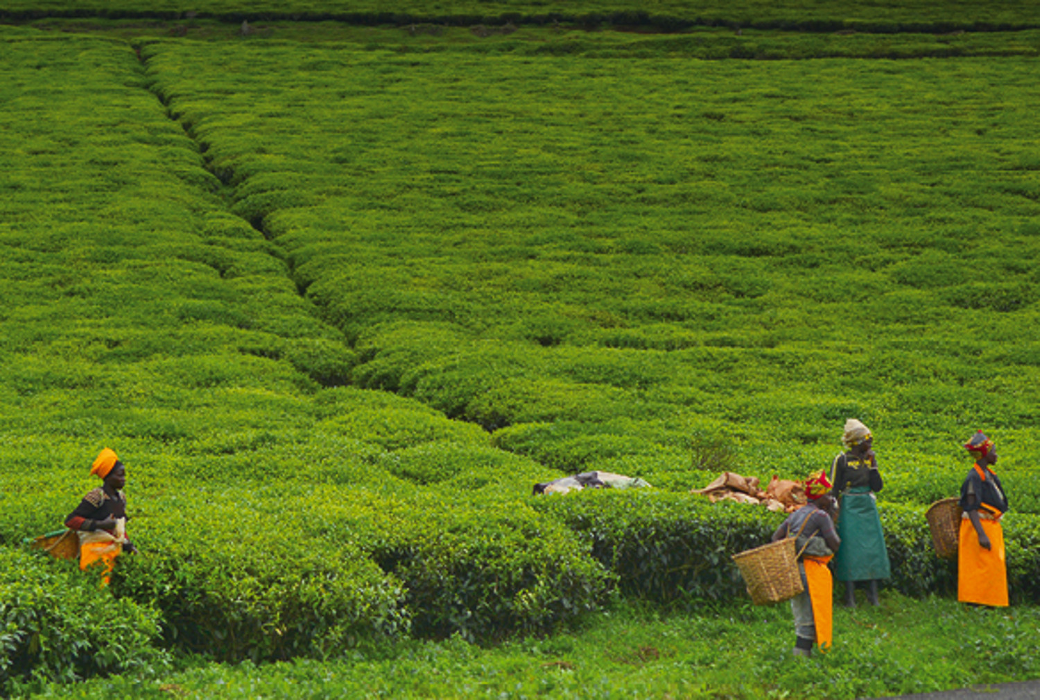 Bodenkultur in Ruanda